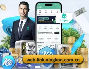web-link-xingkon.com.cn APP 深度功能(xingkong)