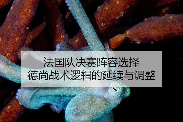 法国队决赛阵容选择 德尚战术逻辑的延续与调整